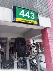 Blk 443 Hougang Avenue 8 (Hougang), HDB 5 Rooms #548722621